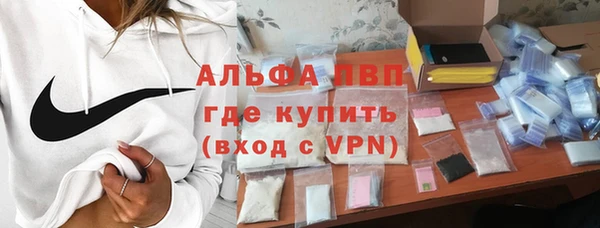 ПСИЛОЦИБИНОВЫЕ ГРИБЫ Беломорск