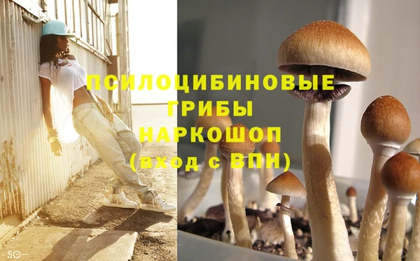 ПСИЛОЦИБИНОВЫЕ ГРИБЫ Беломорск