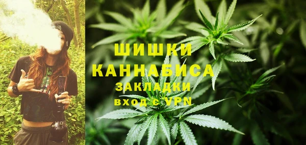 прущие грибы Болхов