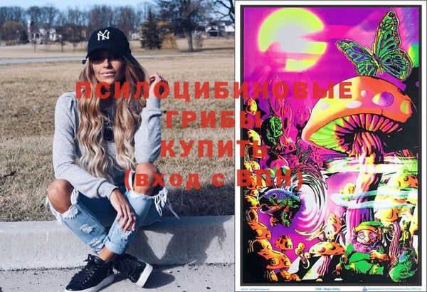 a pvp Белоозёрский