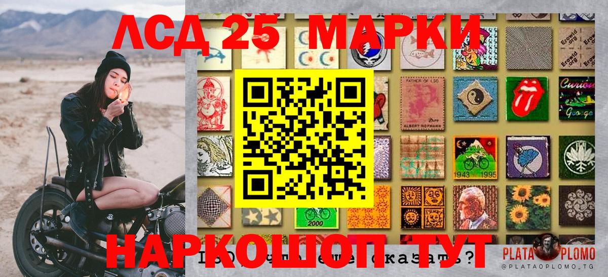 МЕФ Гагарин